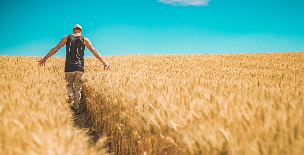 2023 Farm Bill Update Horsepower Marketing